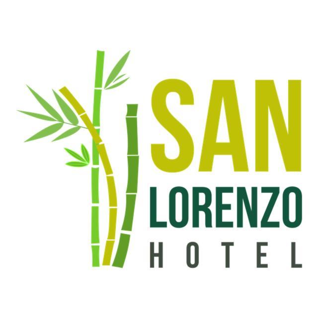 Hotel San Lorenzo Барра-де-Навидад Экстерьер фото